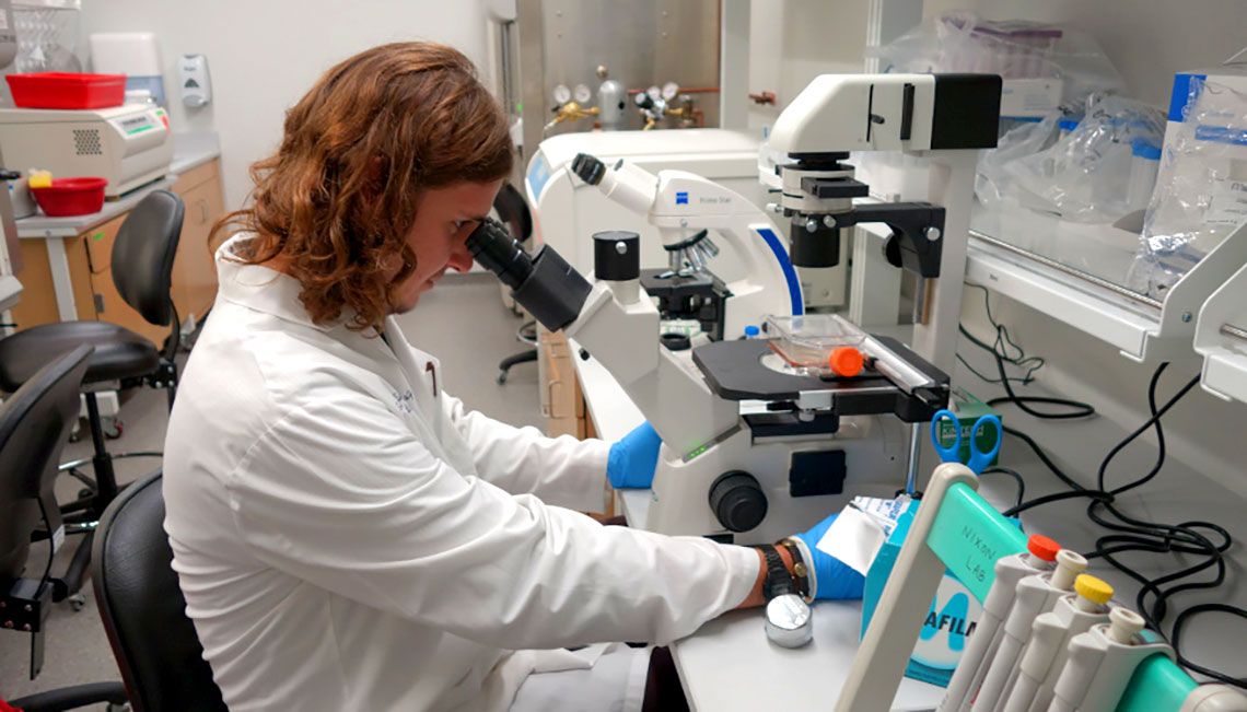 A lab researcher using a microscope