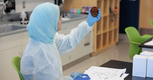 A Biology Student Viewing a blood sample